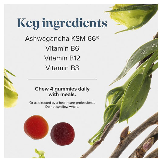 Novomins Ashwagandha 60 Gummies NEW