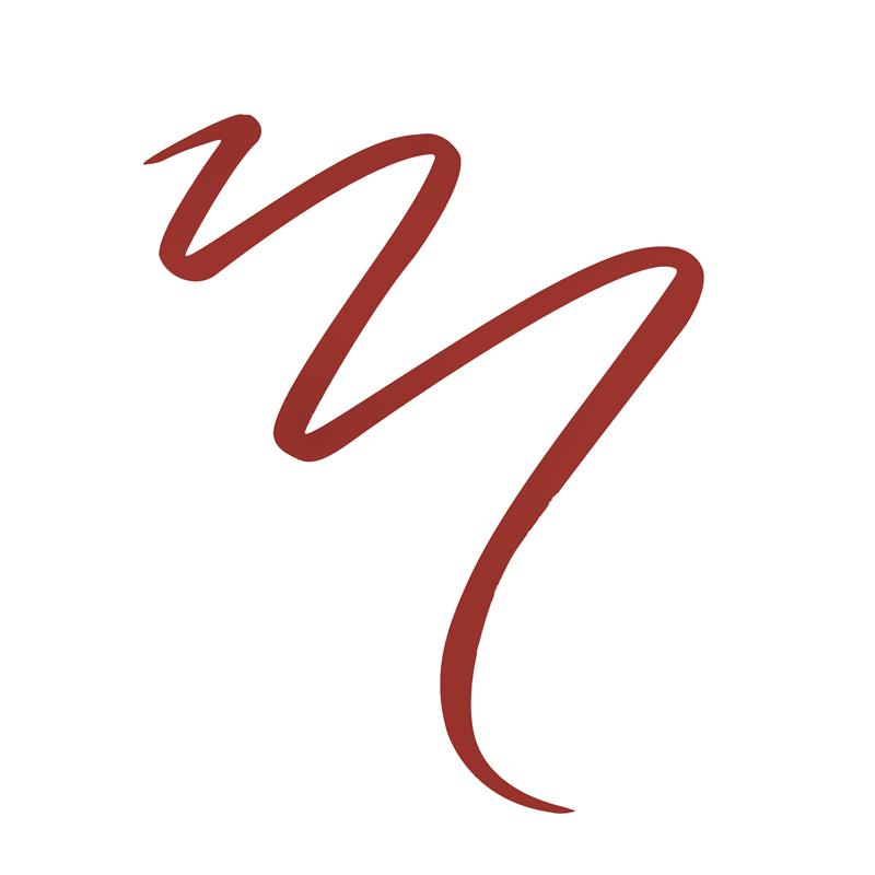 Load image into Gallery viewer, MCoBeauty Liquid Lip Liner Prance Proudly
