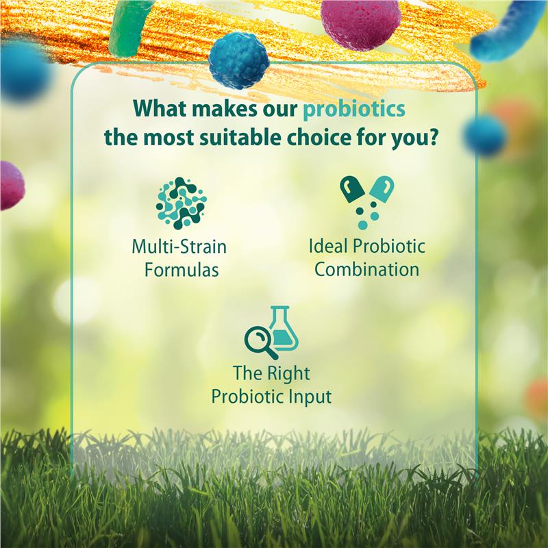 Load image into Gallery viewer, Carusos Probiotic - IBS Fighter 30 Capsules
