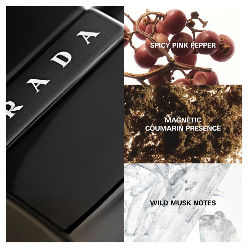 Load image into Gallery viewer, Prada Luna Rossa Black Eau De Parfum 50ml
