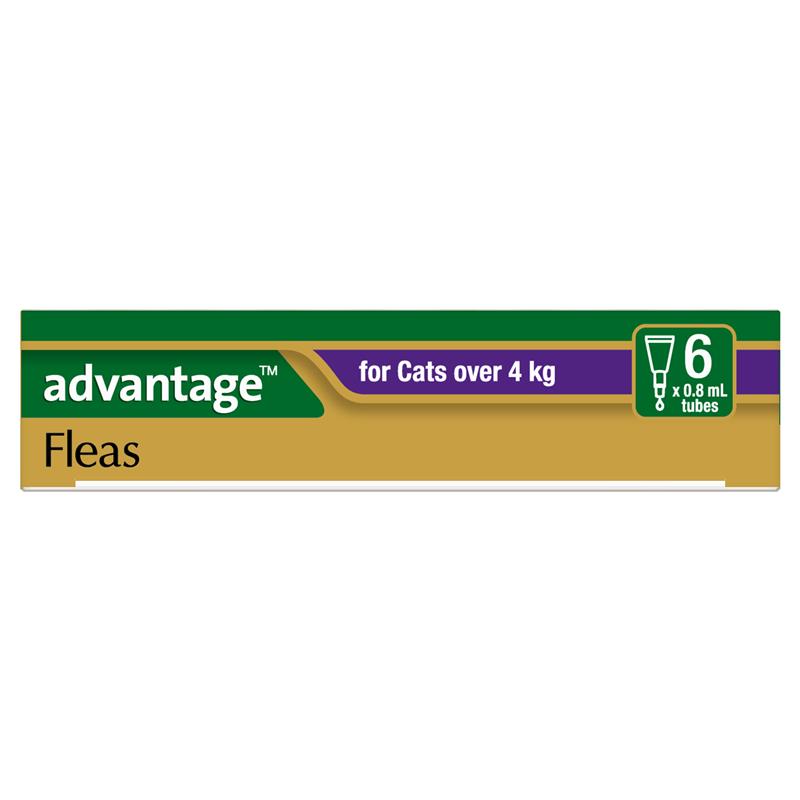 Load image into Gallery viewer, Advantage for Cats over 4kg 6 pack
