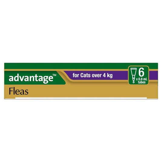 Advantage for Cats over 4kg 6 pack