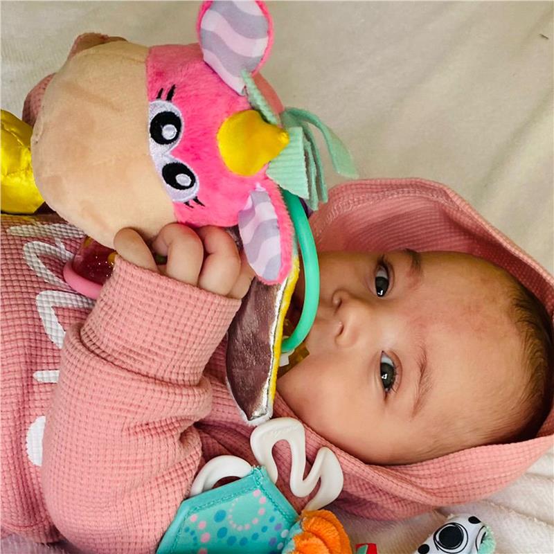 Load image into Gallery viewer, Playgro Unicorn Activity Rattle
