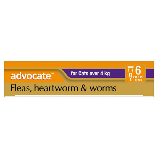 Advocate Cat 4KG plus Large 6