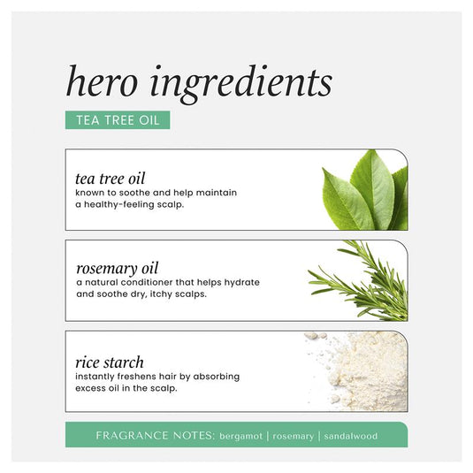 Hask Tea Tree & Rosemary Scalp Detox Dry Shampoo 122g