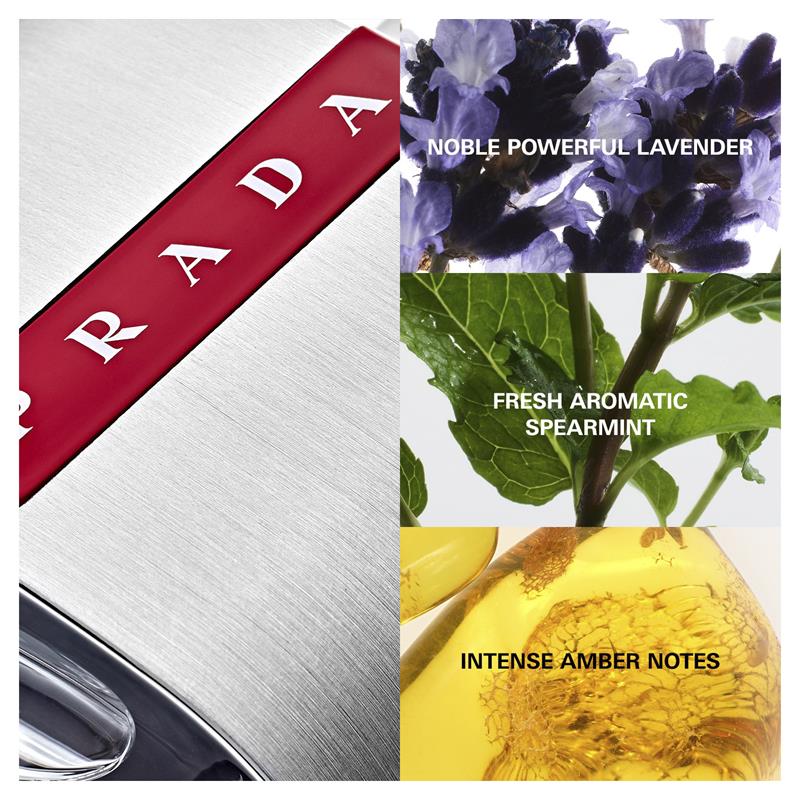 Load image into Gallery viewer, Prada Luna Rossa Eau de Toilette 100ml
