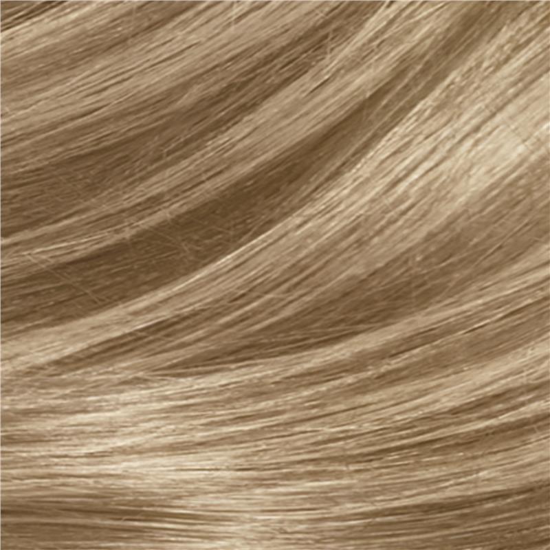 Load image into Gallery viewer, Clairol Frost &amp; Tip
