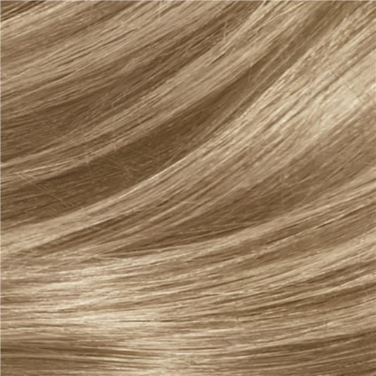 Clairol Frost & Tip