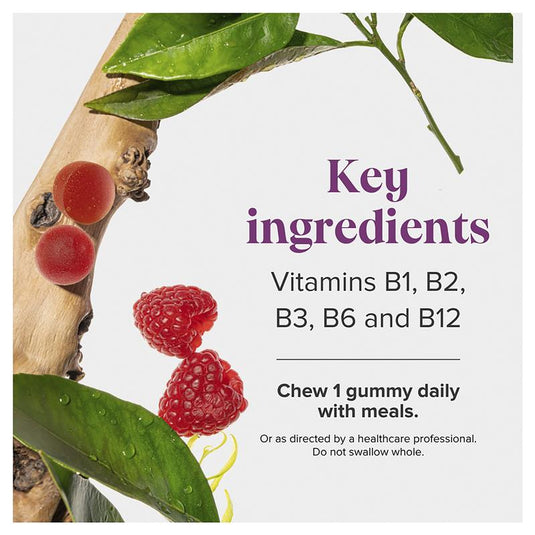 Novomins Energy Vitamin B12 60 Gummies