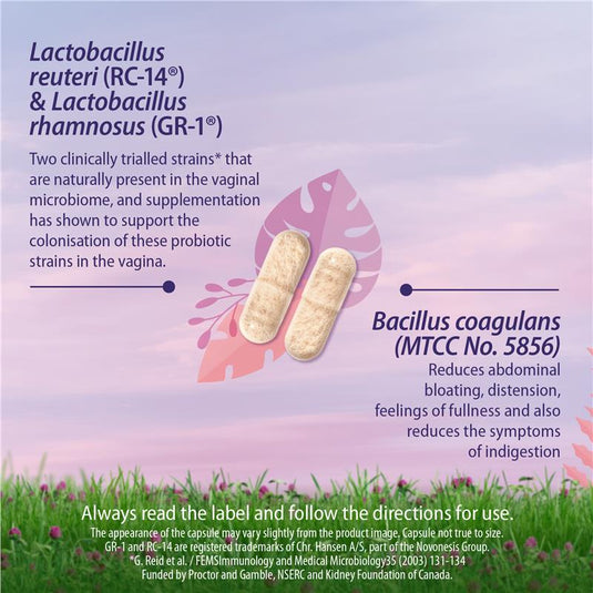 Carusos Probiotic Vaginal Care 60 Capsules