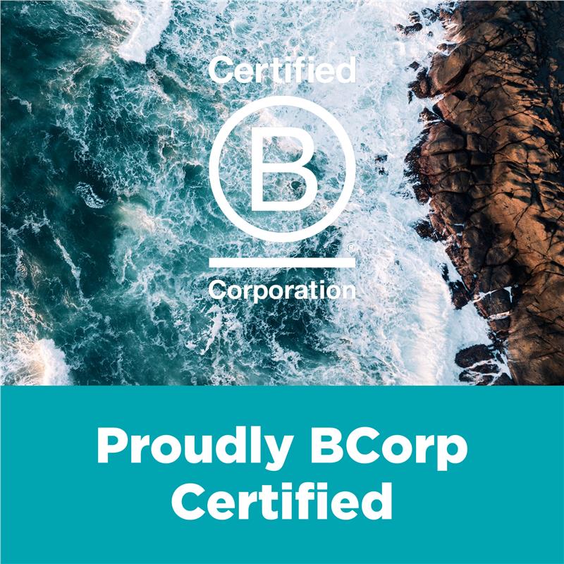 Load image into Gallery viewer, Blackmores Odourless Fish Oil 1000mg 500 Capsules Exclusive Size
