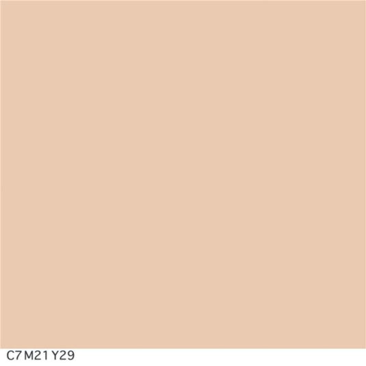 Covergirl Simply Ageless Wrinkle Defy Foundation Creamy Natural 220