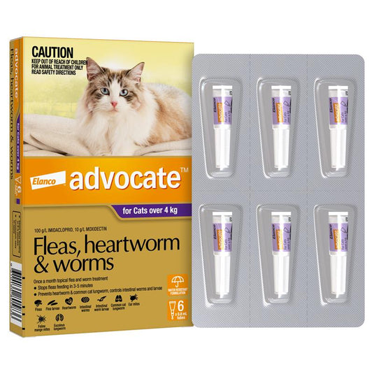 Advocate Cat 4KG plus Large 6