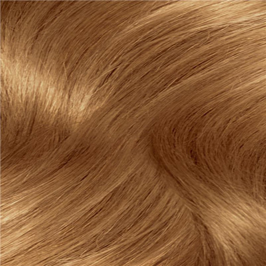 Clairol Nice N Easy 8WR Natural Gold Auburn Permanent Hair Colour