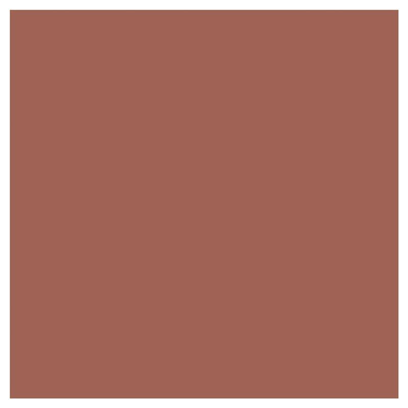 Load image into Gallery viewer, Covergirl Outlast All-Day Lip Colour 110 Ripe Peach 2.3ml

