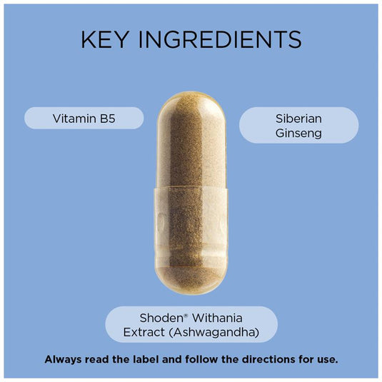 GO Healthy Ashwagandha Plus Stress & Energy 120 Hard Capsules Exclusive Size