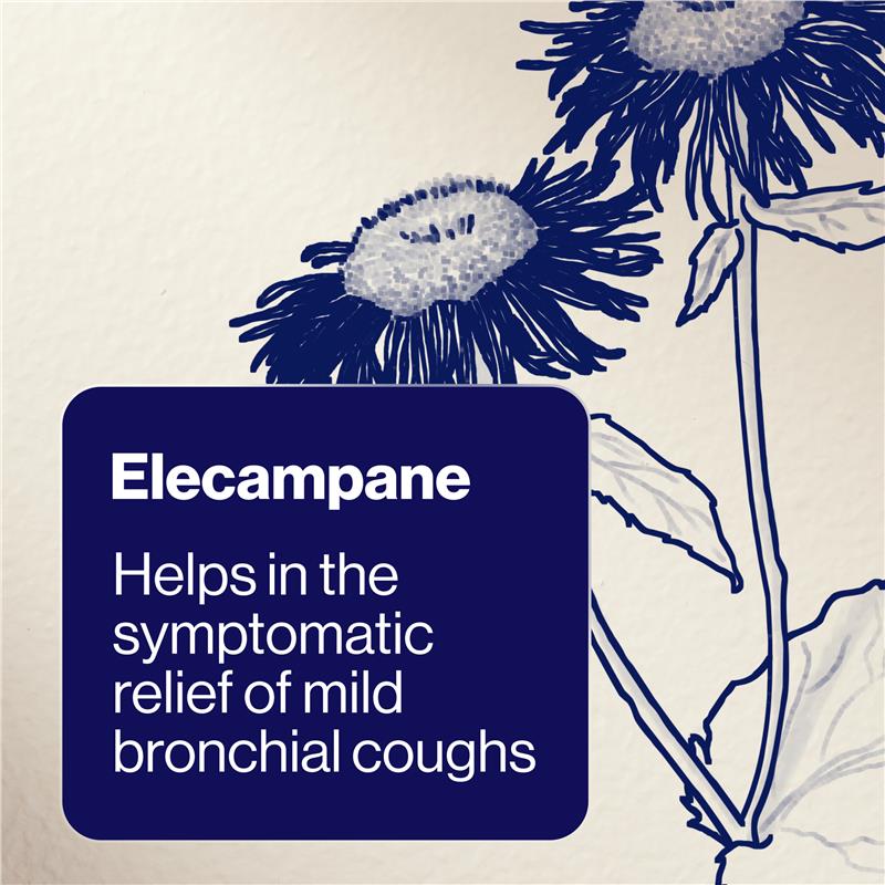 Load image into Gallery viewer, BioCeuticals ArmaForce® Cough Relief 200mL
