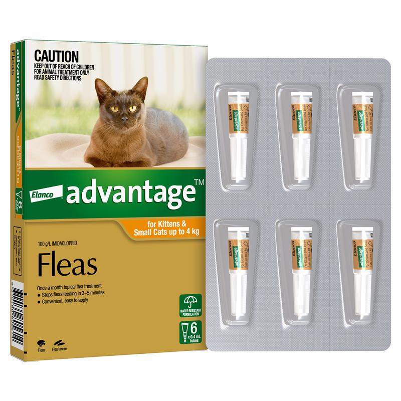Load image into Gallery viewer, Advantage for Kittens &amp; Cats up to 4kg 6 pack
