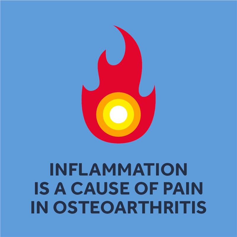 Load image into Gallery viewer, Nurofen Pain and Inflammation Relief Caplets 200mg Ibuprofen 48 pack
