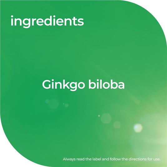 Nature's Way Ginkgo 2000 Brain & Memory 120 Tablets