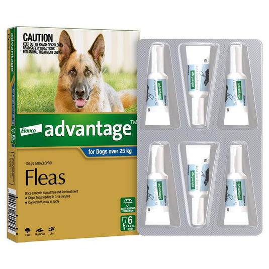 Advantage for Dogs over 25 kg 6 pack