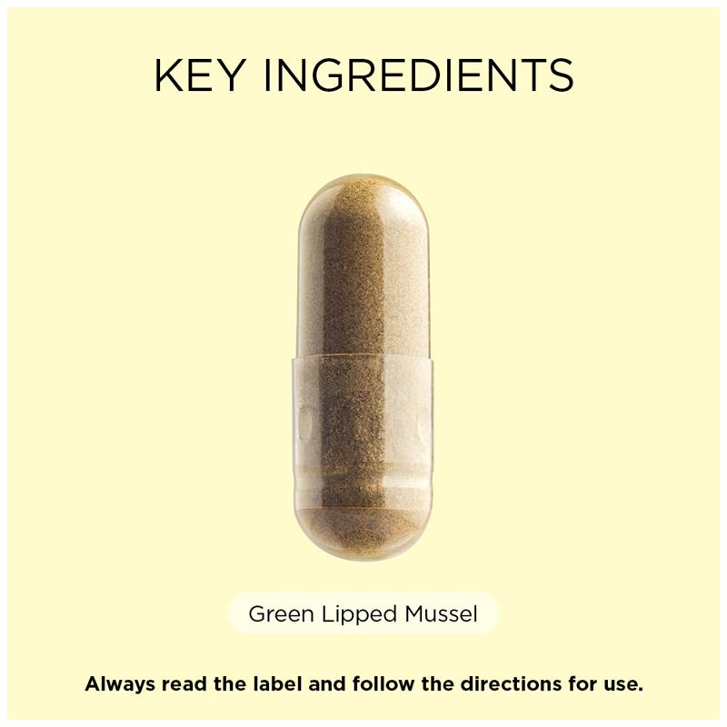 Load image into Gallery viewer, Go Healthy Mussel NZ Green Lipped 19000mg 100 Hard Capsule Exclusive Size
