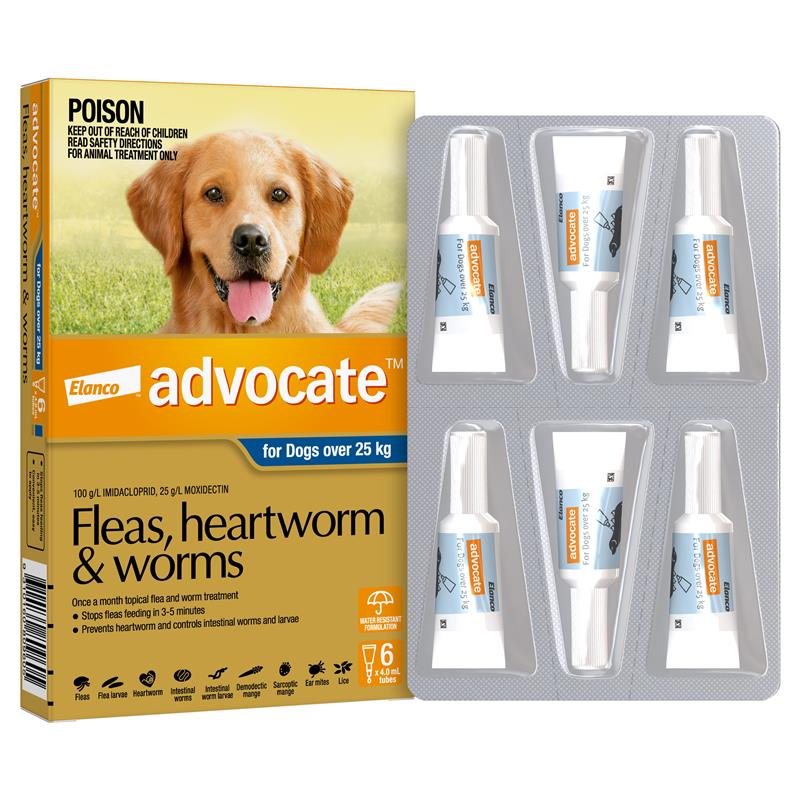 Load image into Gallery viewer, Advocate for Dogs Extra Large over 25 kg 6 pack
