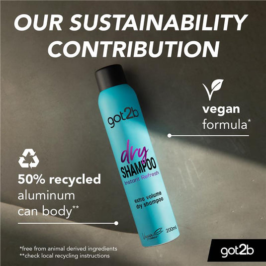 Got2b Fresh It Up Volume Dry Shampoo 200ml