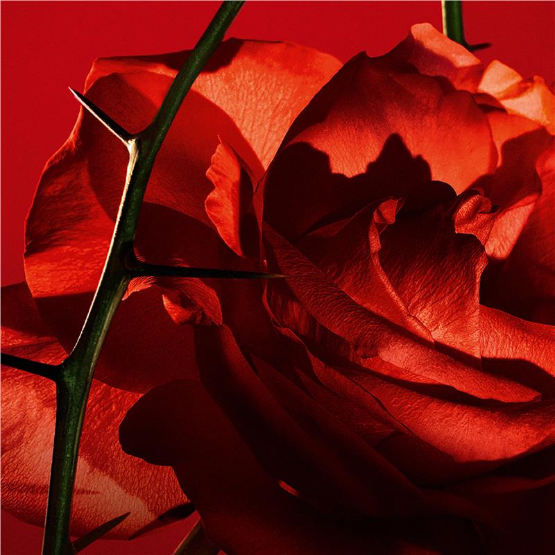 Load image into Gallery viewer, Cacharel Amor Amor Eau de Toilette 30ml
