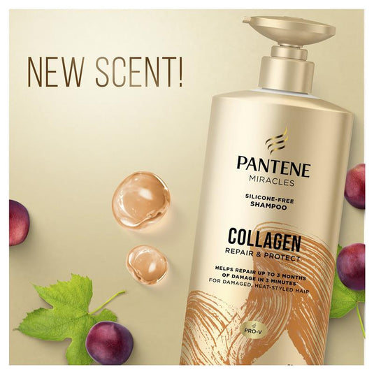 Pantene Miracles Collagen Repair & Protect Shampoo 650ml