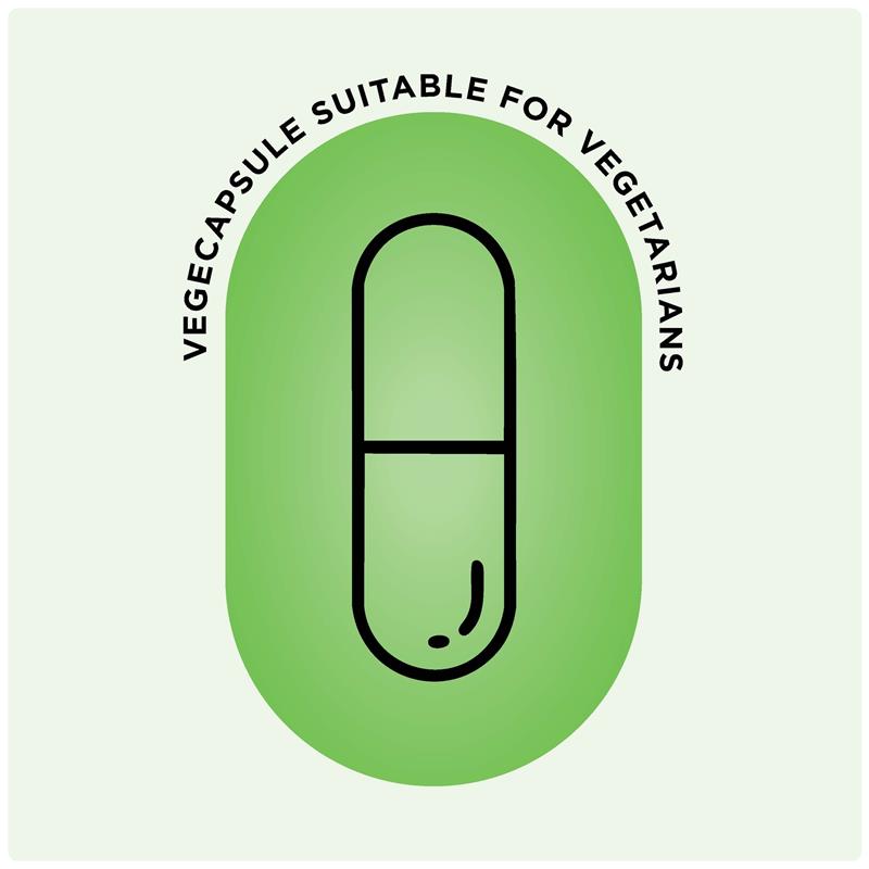 Load image into Gallery viewer, Go Healthy Milk Thistle 50000mg 1-A-Day 120 Vege Capsules Exclusive Size
