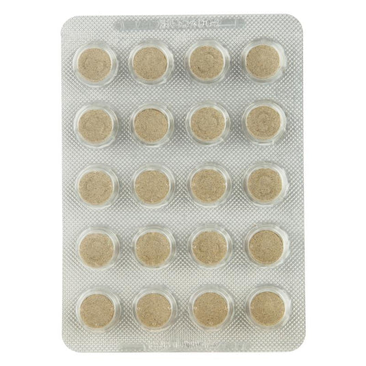 Senokot Tablets Constipation Relief Laxative 100 Pack