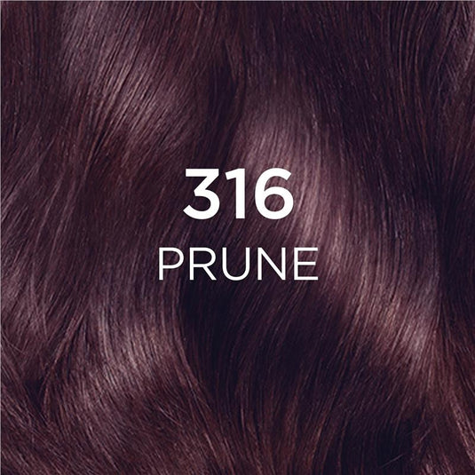L'Oreal Paris Casting Creme Gloss Semi-Permanent Hair Colour - 316 Prune