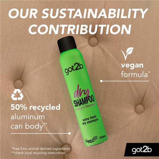 Got2b Fresh It Up Regular Dry Shampoo 200ml
