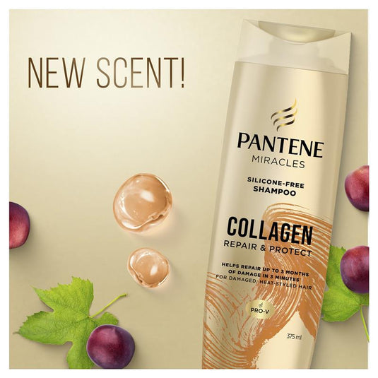Pantene Miracles Collagen Repair & Protect Shampoo 375ml