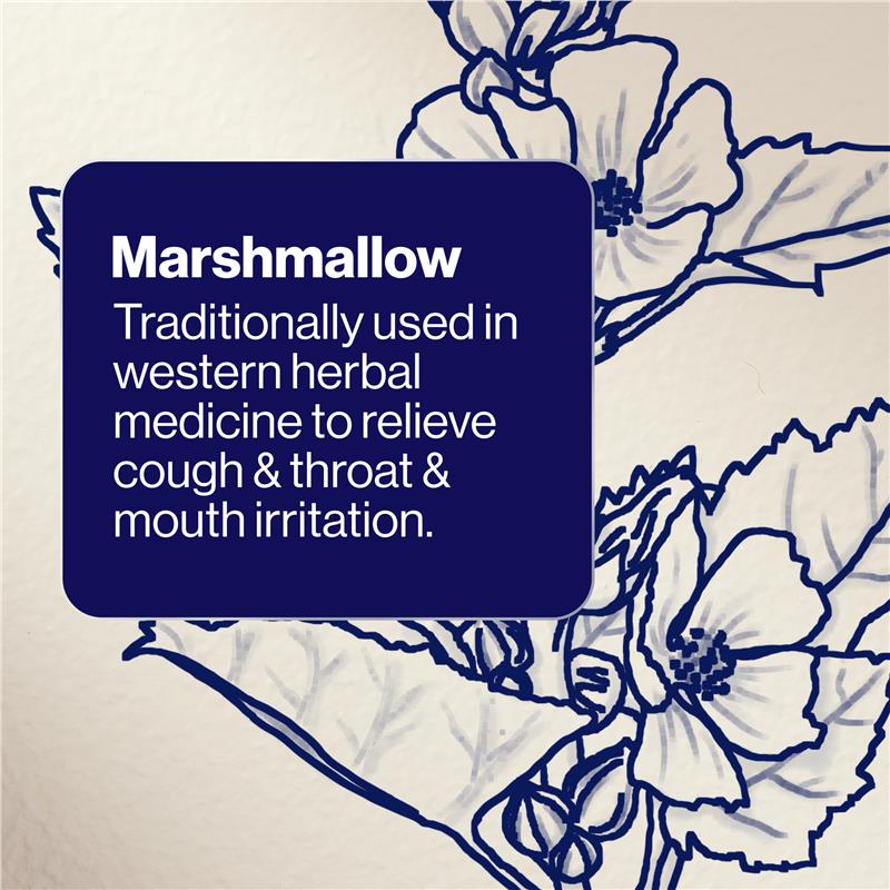 Load image into Gallery viewer, BioCeuticals ArmaForce® Cough Relief 200mL
