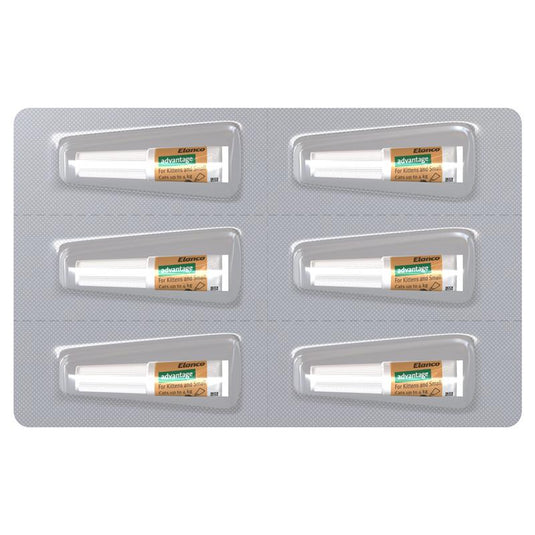 Advantage for Kittens & Cats up to 4kg 6 pack