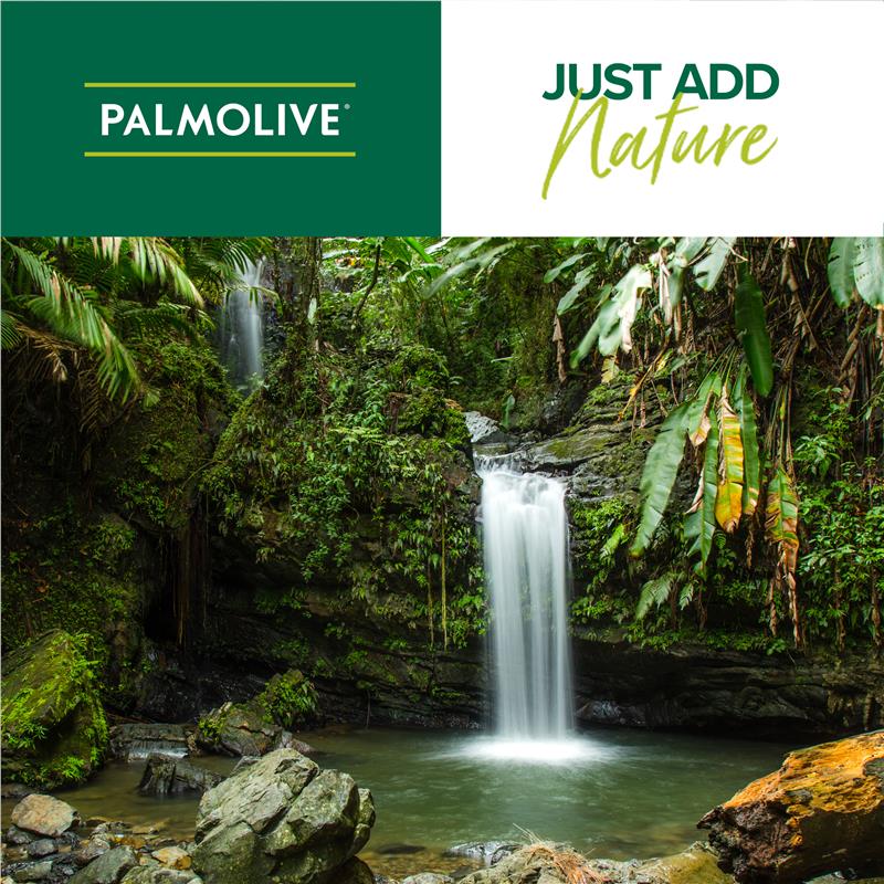 Load image into Gallery viewer, Palmolive Anti-dandruff 2 in 1 Shampoo &amp; Conditioner 350ml
