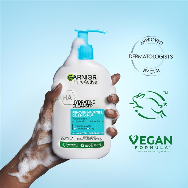 Load image into Gallery viewer, Garnier Pure Active Deep Hydrating Foam 250ml
