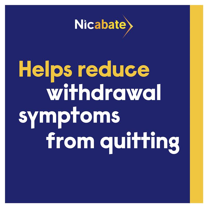 Load image into Gallery viewer, Nicabate Extra Fresh Mint Gum Quit Smoking 2mg 30 pieces
