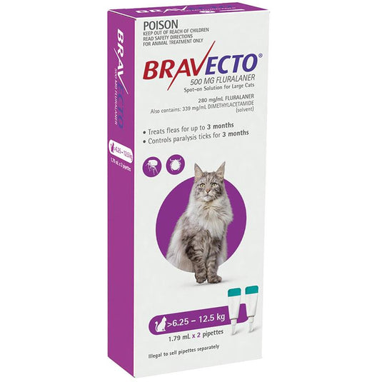 Bravecto Cat Spot On 6.25-12.5Kg 2 Pack