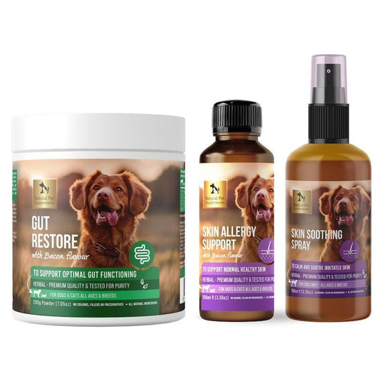 Natural Pet Supplements Skin Allergy Kit for Dogs and Cats Bundle