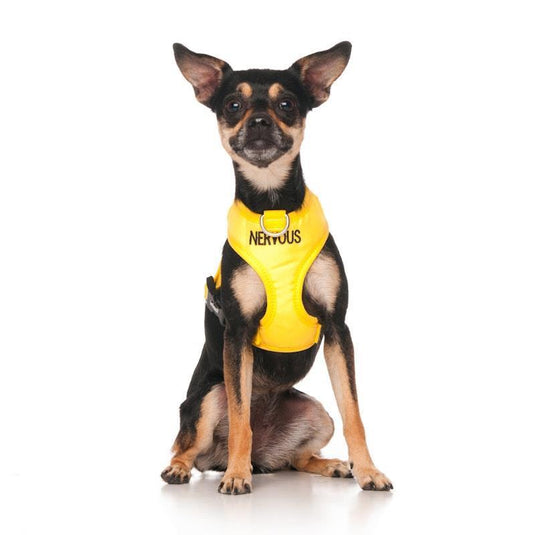 Friendly Dog Collars NERVOUS XS adjustable Vest Harness 1pc