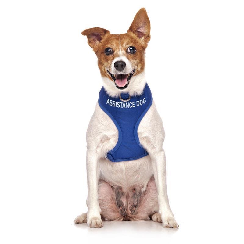 Load image into Gallery viewer, Friendly Dog Collars ASSISTANCE DOG Small adjustable Vest Harness 1pc
