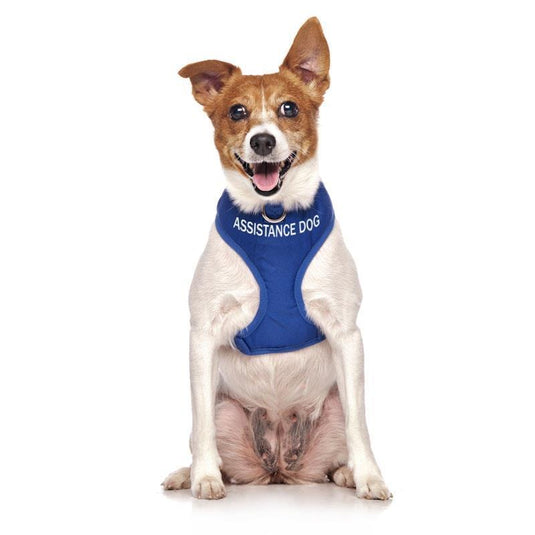 Friendly Dog Collars ASSISTANCE DOG Small adjustable Vest Harness 1pc
