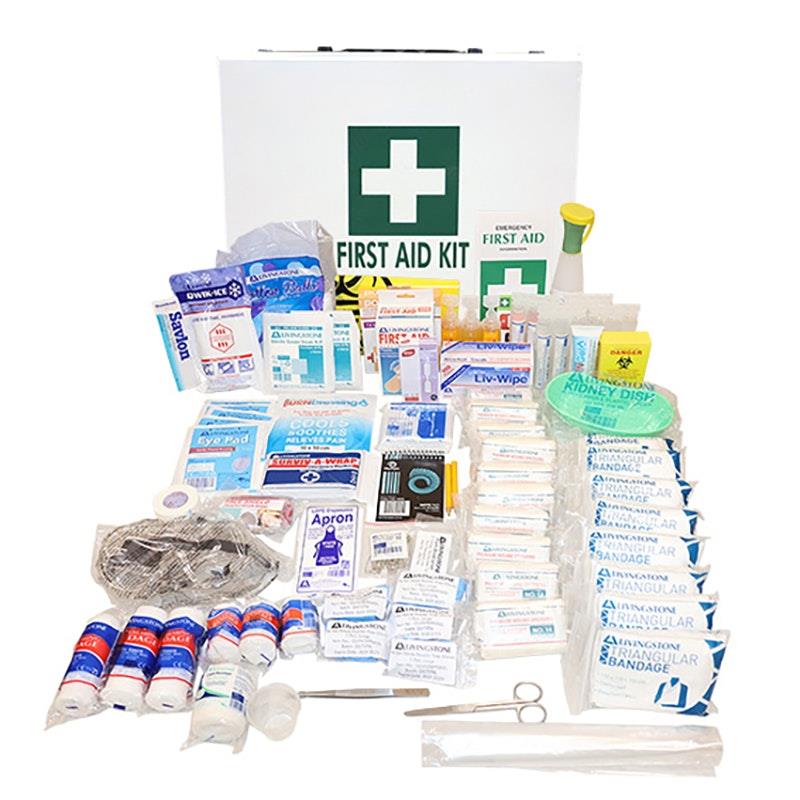 Load image into Gallery viewer, Livingstone Industrial First Aid Kit National Wall Mountable Metal Case Bundle
