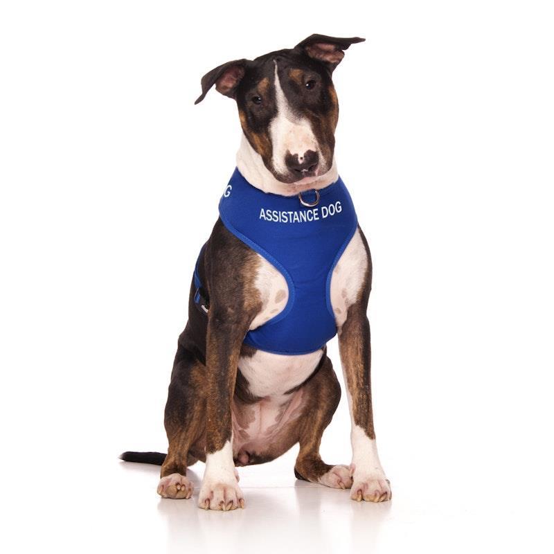Load image into Gallery viewer, Friendly Dog Collars ASSISTANCE DOG Large adjustable Vest Harness 1pc
