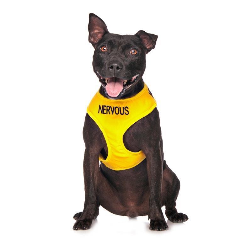 Load image into Gallery viewer, Friendly Dog Collars NERVOUS Medium adjustable Vest Harness 1pc
