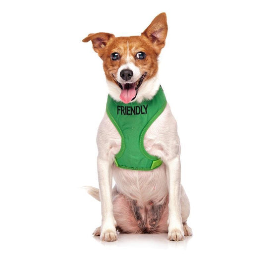Friendly Dog Collars Friendly Small Adjustable Vest Harness 1pc