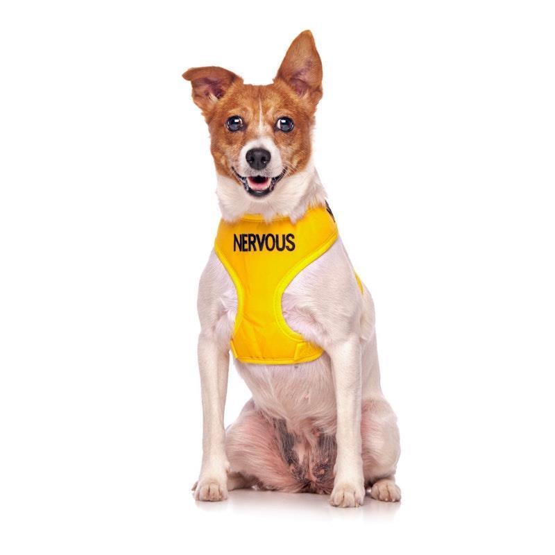 Load image into Gallery viewer, Friendly Dog Collars NERVOUS Small adjustable Vest Harness 1pc
